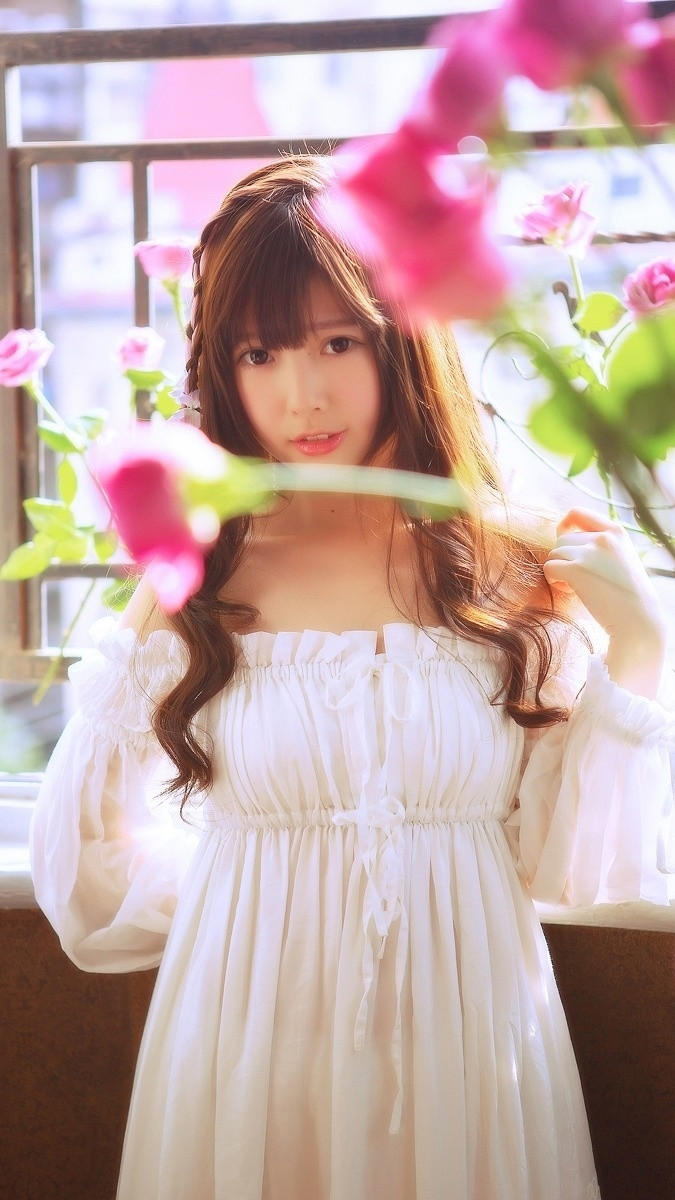 我的家说明文作文